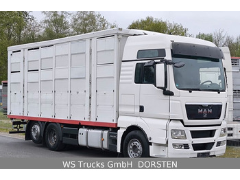 MAN TGX 26.440 FG 6x2  Menke Janzen 3 Stock  - Ciężarówka do przewozu zwierząt: zdjęcie 2