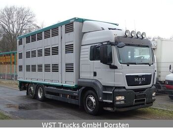 Ciężarówka do przewozu zwierząt MAN TGX 26.440 LXL Menke   3 Stock Vollalu: zdjęcie 1