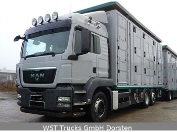Ciężarówka do przewozu zwierząt MAN TGX 26.440 LXL Menke   3 Stock Vollalu: zdjęcie 1
