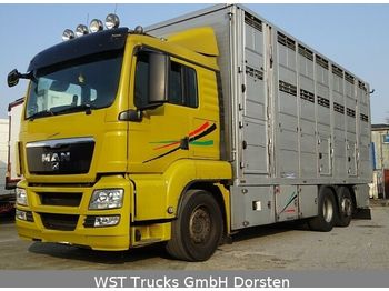 Ciężarówka do przewozu zwierząt MAN TGX 26.440 LX Menke 3 Stock: zdjęcie 1