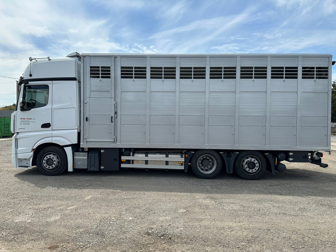 Ciężarówka do przewozu zwierząt dla transportowania zwierząt MERCEDES-BENZ Actros 2545: zdjęcie 8