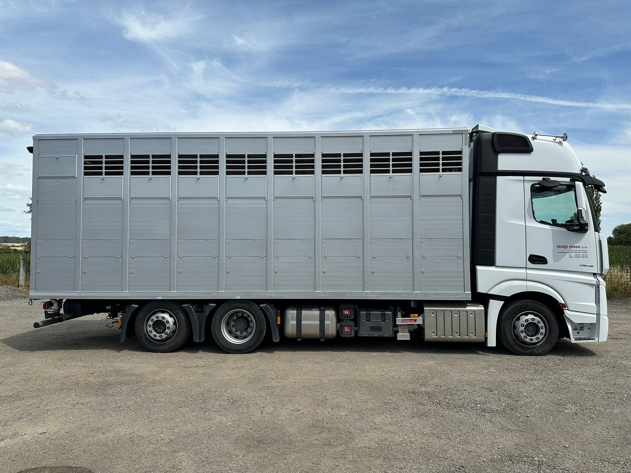 Ciężarówka do przewozu zwierząt dla transportowania zwierząt MERCEDES-BENZ Actros 2545: zdjęcie 3