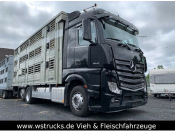 Ciężarówka do przewozu zwierząt Mercedes-Benz 2542 Finkl 3 Stock Black Edition Vollausstattung: zdjęcie 1