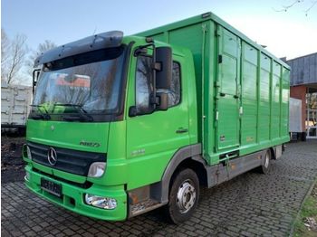 Ciężarówka do przewozu zwierząt Mercedes-Benz 818 L Menke Einstock Vollalu: zdjęcie 1