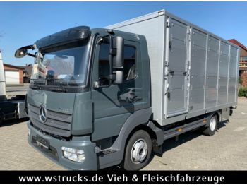 Ciężarówka do przewozu zwierząt dla transportowania zwierząt Mercedes-Benz 821L" Neu" WST Edition" Menke Einstock Vollalu: zdjęcie 1