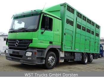 Ciężarówka do przewozu zwierząt Mercedes-Benz Actros  2541 Menke 3 Stock Vollalu: zdjęcie 1