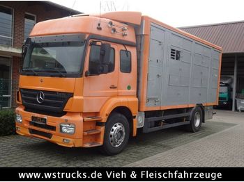 Ciężarówka do przewozu zwierząt Mercedes-Benz  Axor 1833 2 Stock Michieletto: zdjęcie 1
