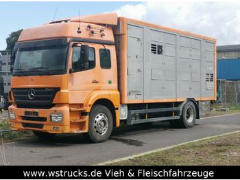Ciężarówka do przewozu zwierząt Mercedes-Benz Axor 1833 2 Stock Michieletto: zdjęcie 1