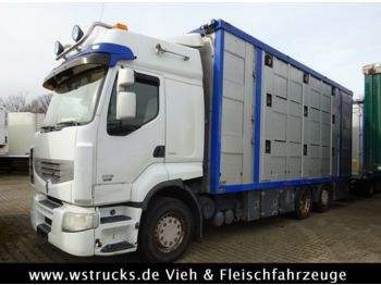 Ciężarówka do przewozu zwierząt Renault 450 DXI  Menke 3 Stock Hubdach: zdjęcie 1