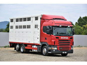Ciężarówka do przewozu zwierząt Scania G 440 TIERTRANSPORTWAGEN 6,80m / 3 STOCK !: zdjęcie 1
