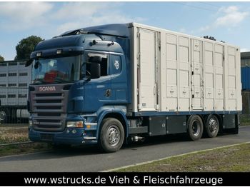 Ciężarówka do przewozu zwierząt Scania  R 560 V8 Highline Menke 3 Stock Vollalu: zdjęcie 1