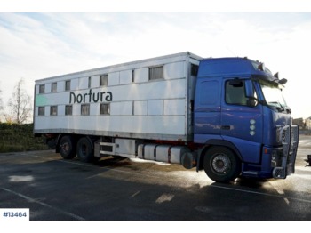 Ciężarówka do przewozu zwierząt Volvo FH12: zdjęcie 1