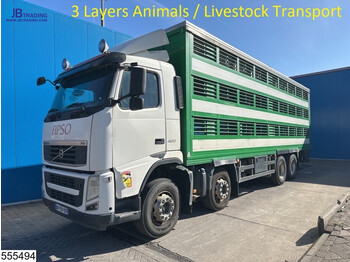 Ciężarówka do przewozu zwierząt Volvo FH13 420 8x4, 3 Layers Animals Livestock Transport: zdjęcie 1