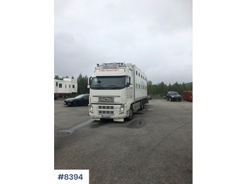 Ciężarówka do przewozu zwierząt Volvo FH540: zdjęcie 1