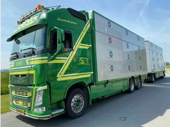Ciężarówka do przewozu zwierząt Volvo FH 13-540 6X2 EURO 6 - 3 STOCK + CUPPERS 2 AS AA: zdjęcie 1