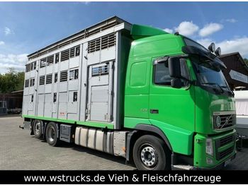 Ciężarówka do przewozu zwierząt Volvo FH 440 Globe XL 3 Stock Hubdach: zdjęcie 1
