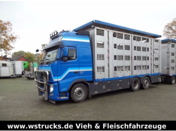 Ciężarówka do przewozu zwierząt Volvo FH 460 Globe XL  Menke 4 Stock: zdjęcie 1