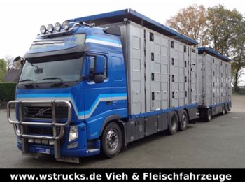 Ciężarówka do przewozu zwierząt Volvo FH 460 Globe XL  Menke 4 Stock Kompletter Zug: zdjęcie 1