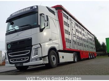 Ciężarówka do przewozu zwierząt Volvo FH 460  XL Menke 4 Stock Vollausstattung: zdjęcie 1