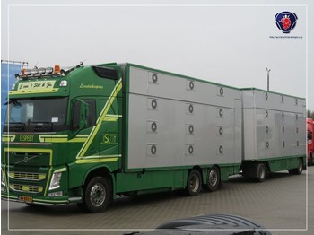 Ciężarówka do przewozu zwierząt Volvo FH 540 COMBI | EURO 6 | I-SHIFT| 3 DEKS | 3 STOCK livestock: zdjęcie 1