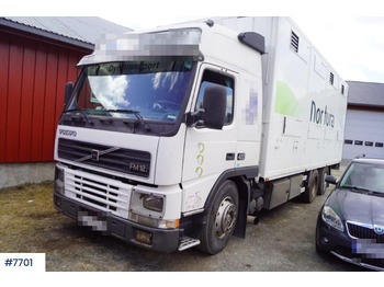 Ciężarówka do przewozu zwierząt Volvo FM12: zdjęcie 1