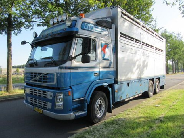 Ciężarówka do przewozu zwierząt Volvo FM 9: zdjęcie 16