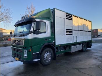 Ciężarówka do przewozu zwierząt Volvo FM 9.300 4X2 - LIVESTOCK + HYDRAULIC FLOOR - MAN: zdjęcie 1