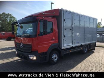 Dostawczy kontener dla transportowania zwierząt Mercedes-Benz 821L" Neu" WST Edition" Menke Einstock Vollalu: zdjęcie 1
