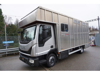 Ciężarówka do przewozu zwierząt IVECO EuroCargo