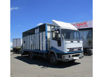 Ciężarówka do przewozu zwierząt IVECO EuroCargo 80E