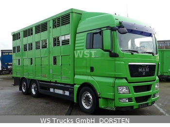Ciężarówka do przewozu zwierząt MAN TGX 26.480