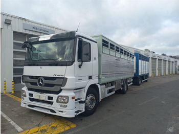 Ciężarówka do przewozu zwierząt MERCEDES-BENZ Actros
