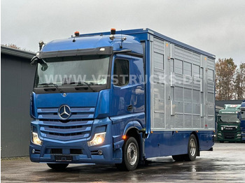 Ciężarówka do przewozu zwierząt MERCEDES-BENZ Actros 1948