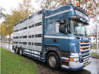 Ciężarówka do przewozu zwierząt SCANIA R 500