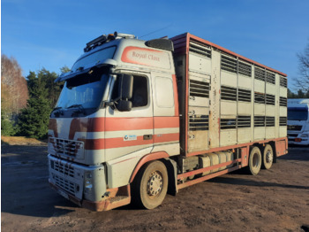 Ciężarówka do przewozu zwierząt VOLVO FH12