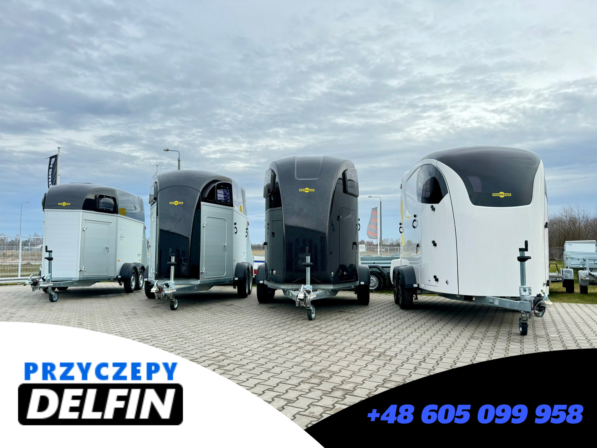 ZPHU DELFIN Gruszkiewicz Andrzej undefined: zdjęcie 4
