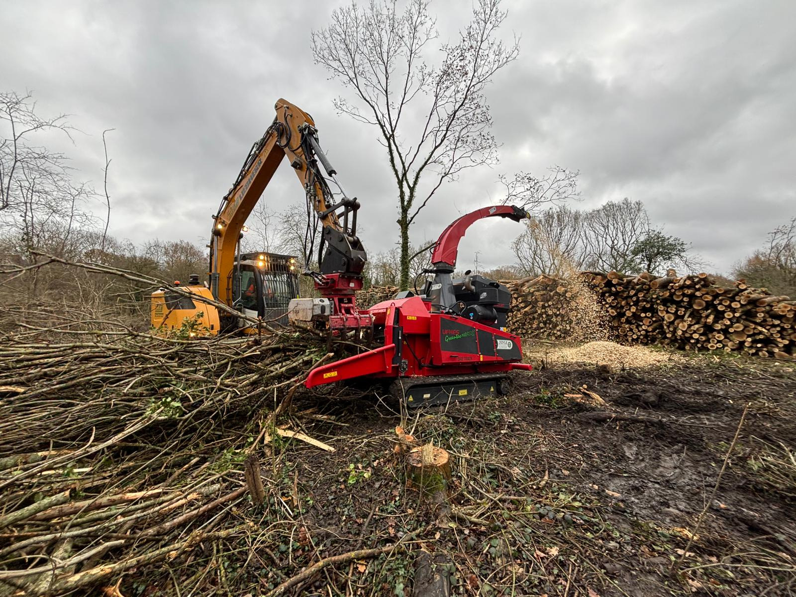 DOYLE MACHINERY Ltd - Technika leśna undefined: zdjęcie 14