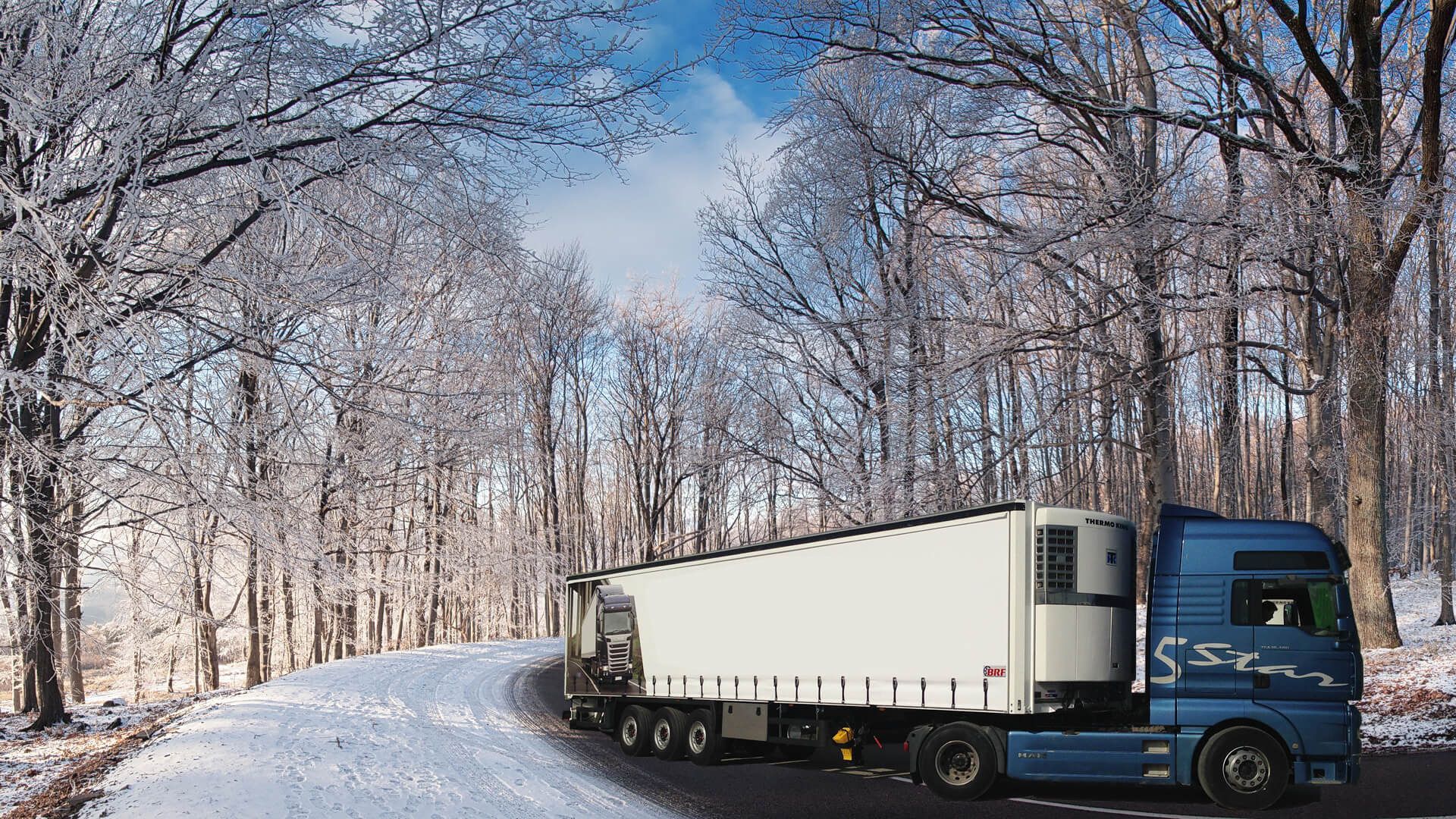 BRF REFRIGERATED TRAILER undefined: zdjęcie 3