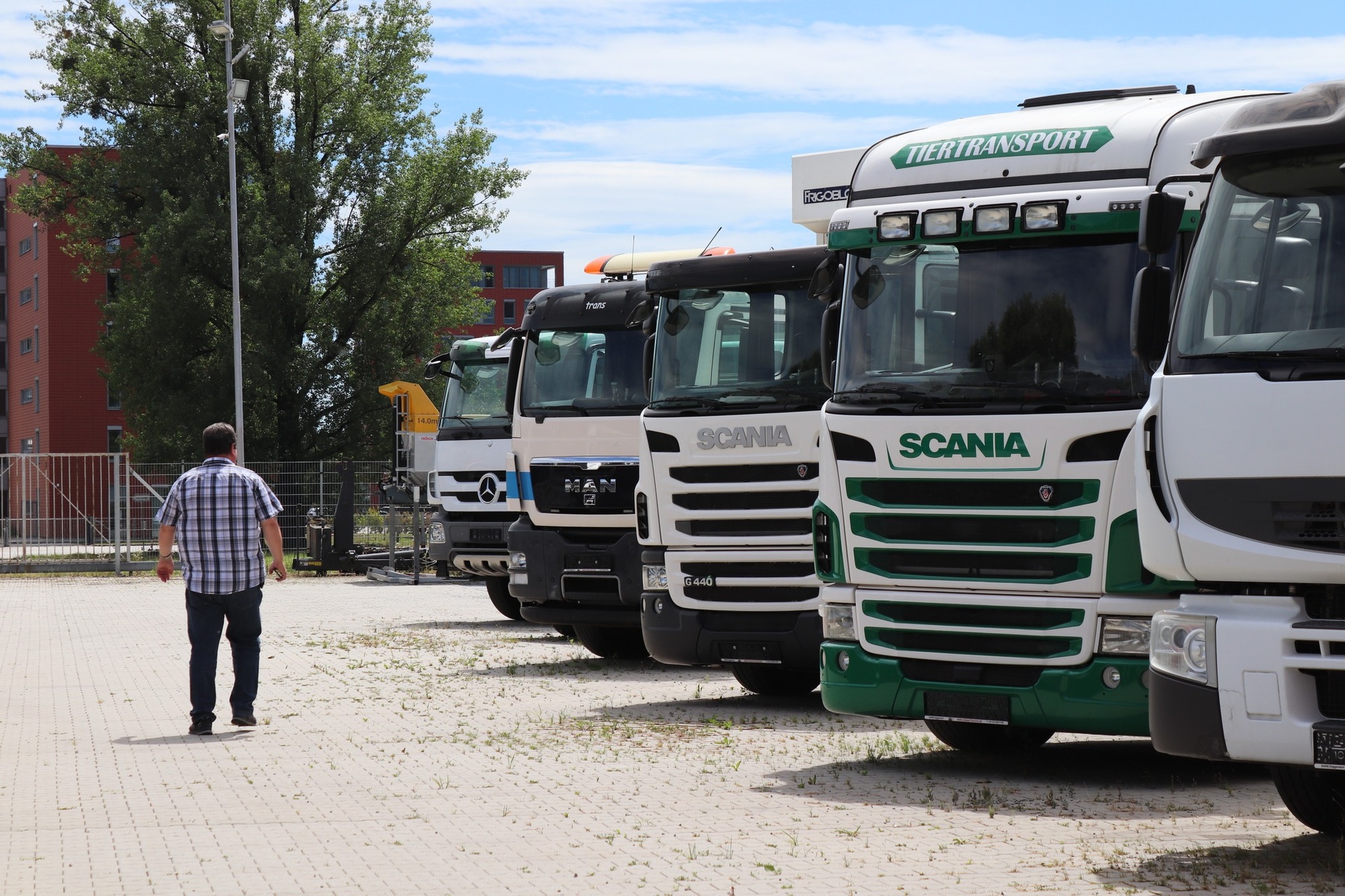 Donau Trucks GmbH undefined: zdjęcie 3