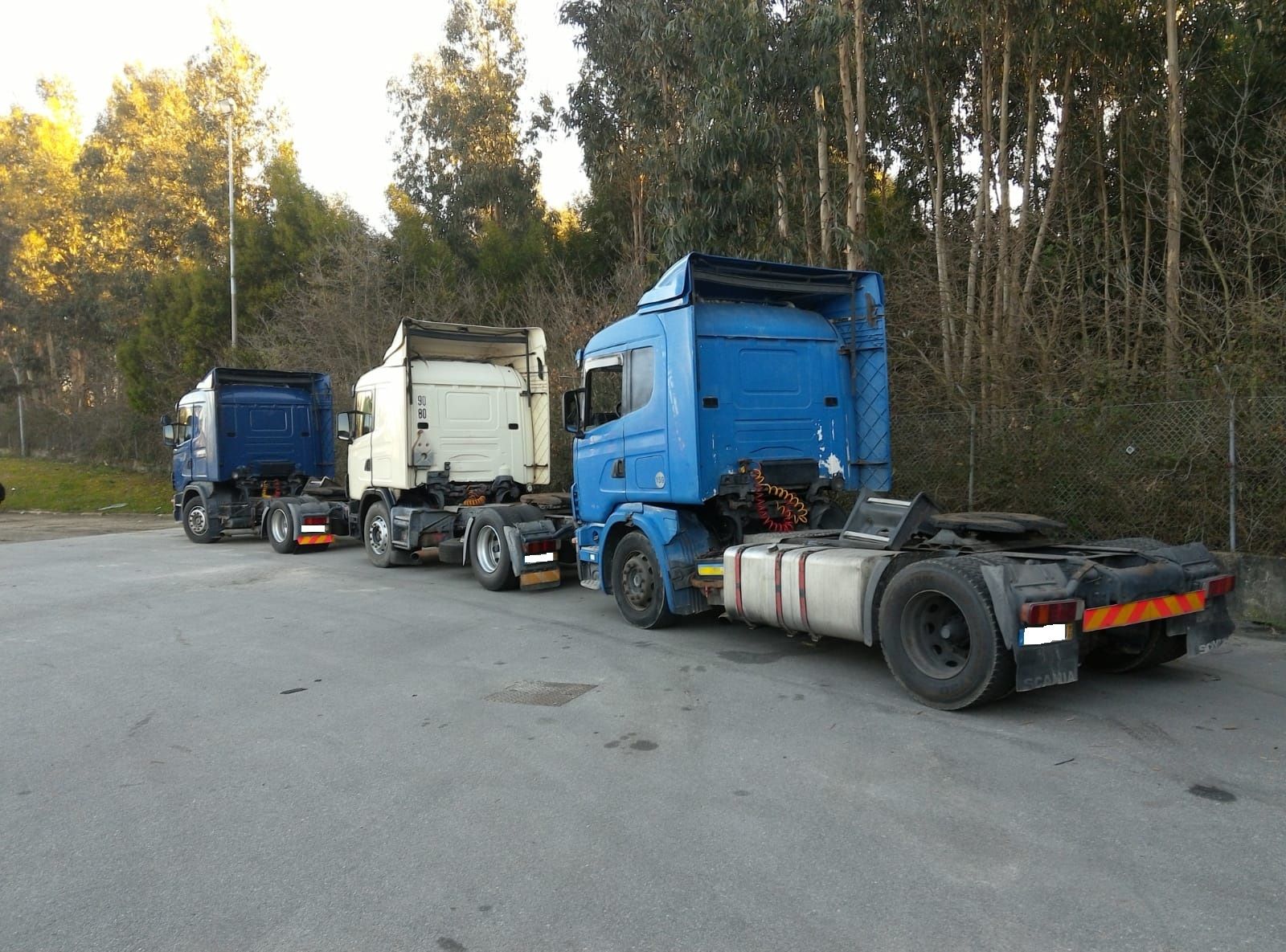 Britannia Export Consultants Limited - ogłoszenia sprzedaży undefined: zdjęcie 17