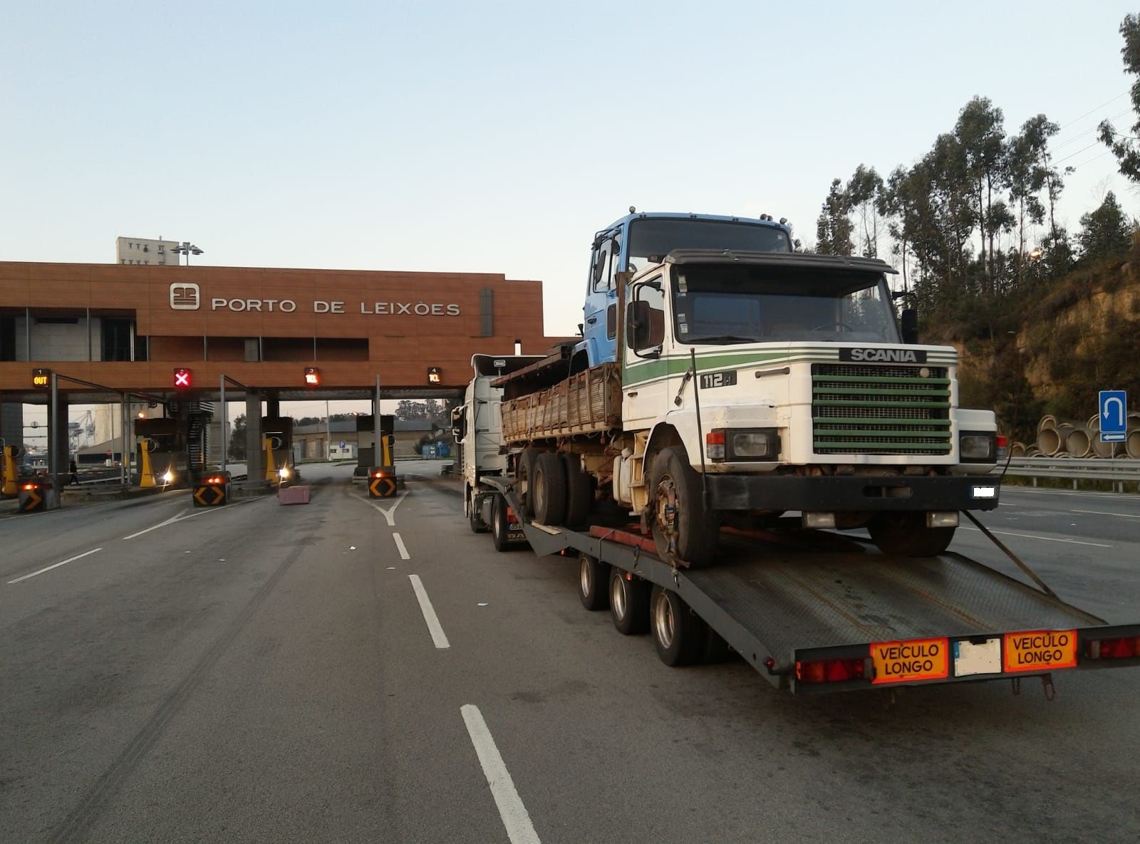 Britannia Export Consultants Limited - ogłoszenia sprzedaży undefined: zdjęcie 5