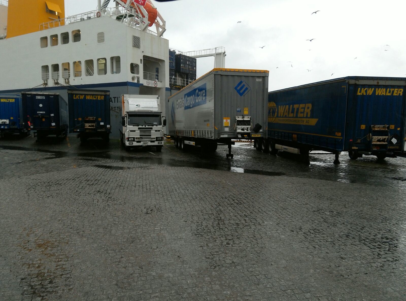 Britannia Export Consultants Limited - ogłoszenia sprzedaży undefined: zdjęcie 18