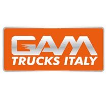 Volkswagen Caravelle 2.5TDi 4Motion 4x4 Export 12.900Euro - Minibus