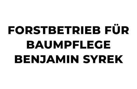 Forstbetrieb für Baumpflege Benjamin Syrek na Truck1