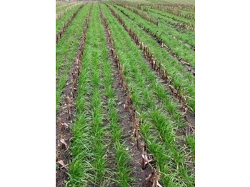 Sprzęt po zbiorze Gaspardo ***CropSeed*** Frøudstyr til radrenser: zdjęcie 5