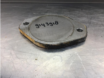 : zdjęcie nagłówek