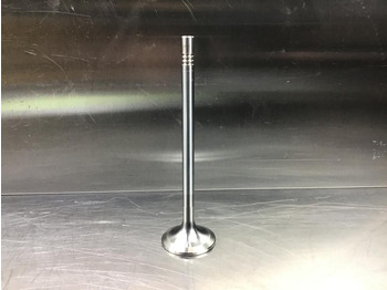 Silnik i części LIEBHERR