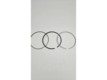 Silnik i części LIEBHERR