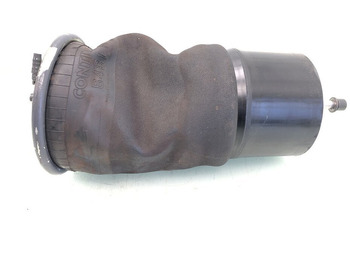 Zawieszenie pneumatyczne DAF