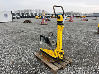 Zagęszczarka płytowa Wacker Neuson DPU5545 Vibratory Plate Compactor: zdjęcie 2 Zagęszczarka płytowa Wacker Neuson DPU5545 Vibratory Plate Compactor: zdjęcie 2